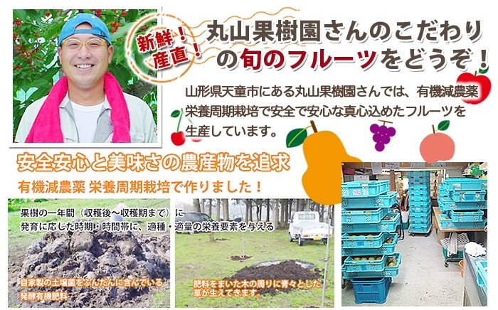 果物フルーツ詰め合わせ