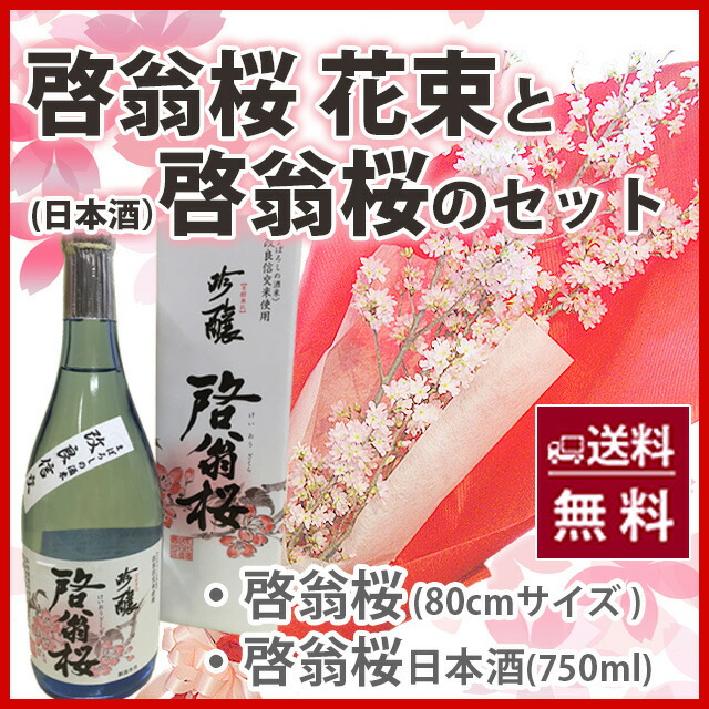 啓翁桜、けいおうざくら、ケイオウザクラ 山形特産 日本で一番早く咲く桜を全国発送
