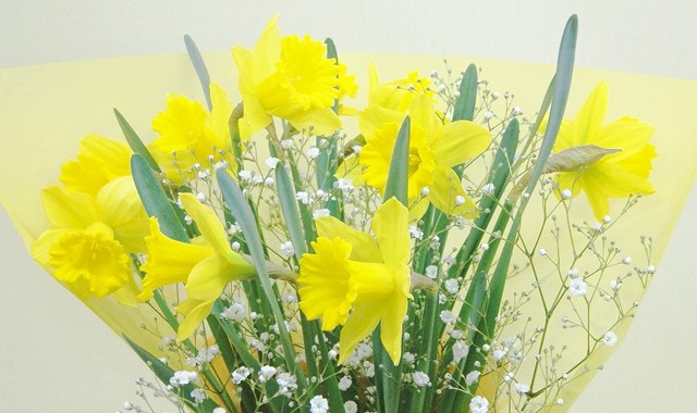 4月ラッパ水仙の花束の塗り絵 : クレヨン則さんの塗り絵