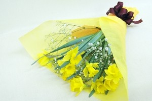 水仙 カスミ草 花束 ラッパ水仙 すいせん スイセン ラッパ 誕生