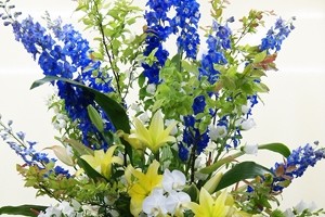 祝スタンド　送料無料　ネット通販花屋花樹有（かじゅある )