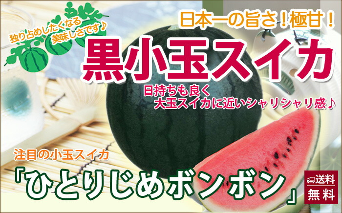 山形県村山市　袖崎の小玉スイカ　ひとりじめ　ネット通販花屋　花樹有（かじゅある）　