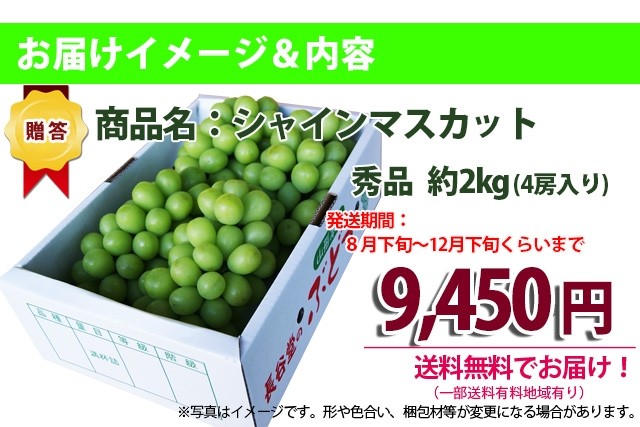 敬老の日 山形市本沢 有機減農薬栽培　　葡萄（ぶどう）シャインマスカット　　お届け内容