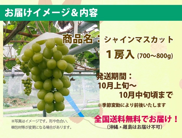 シャインマスカット　お届け内容