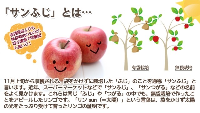 山形県産　サンふじ　無袋栽培