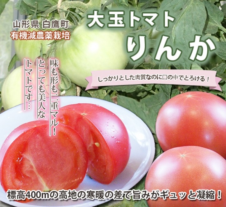 トマト　りんか