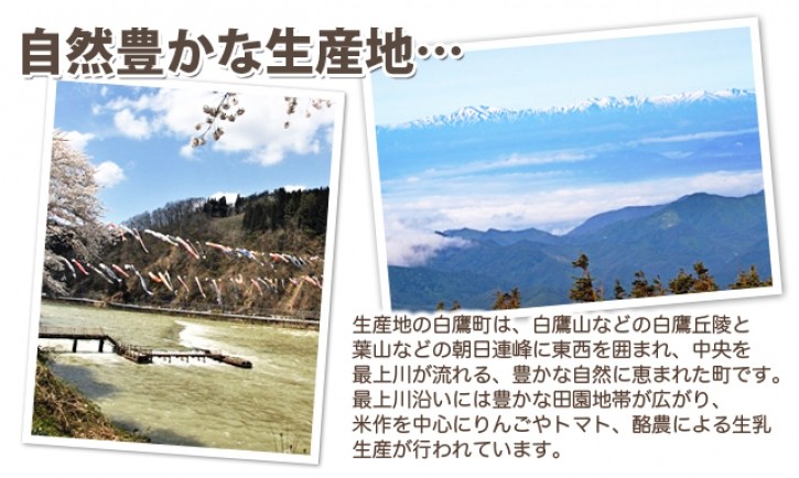トマト　りんか