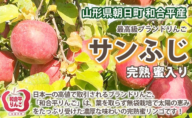 山形県朝日町　和合平りんご　完熟蜜入り　葉取らずサンふじ