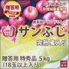 和合平りんご　完熟蜜入りサンふじリンゴ　5kg
