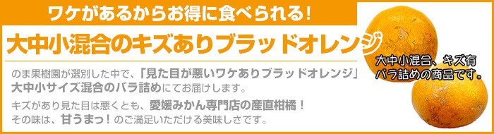 ワケありブラッドオレンジ約5kg : のま果樹園 - 通販 - Yahoo