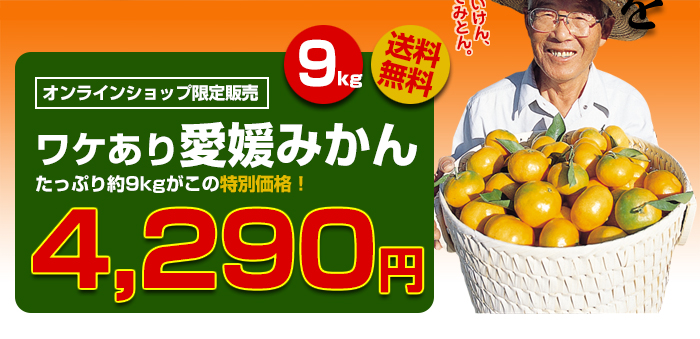 【送料無料】愛媛みかん　ワケあり品　約9kg