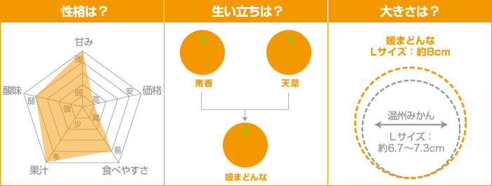 みかんデータ：媛まどんな