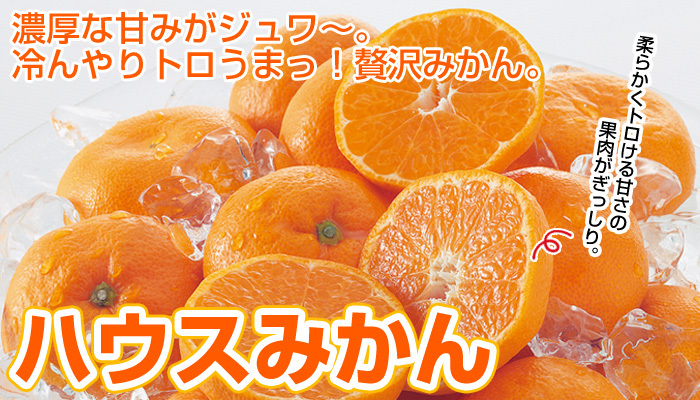 ハウスみかん