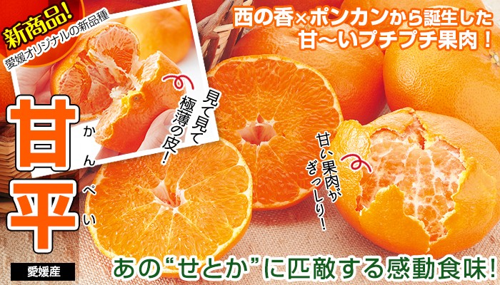 かん ぺい 値段