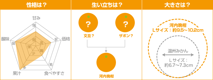 みかんデータ：河内晩柑（ジューシーオレンジ）