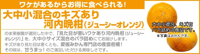 ワケあり河内晩柑（ジューシーオレンジ）