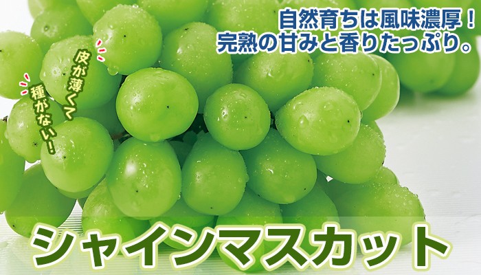 シャインマスカット