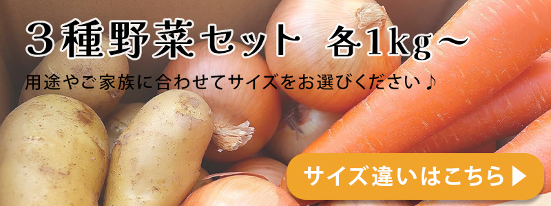 ３種野菜セット