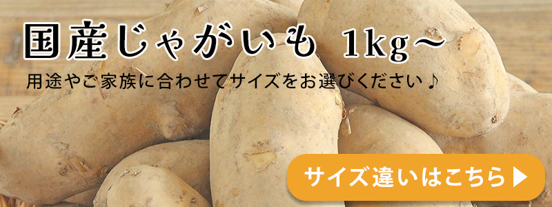 じゃがいも
