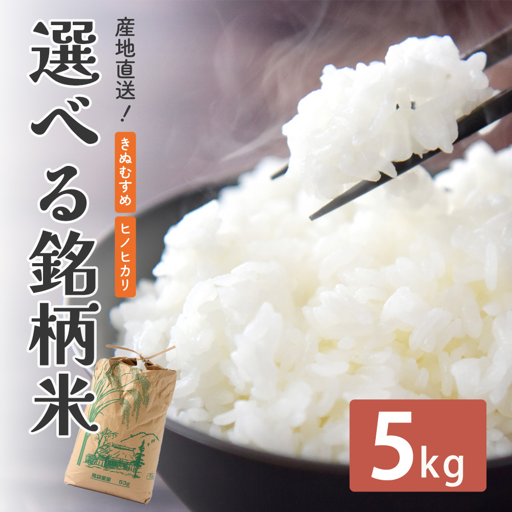 予約販売】2026年11月中旬頃入荷予定 米 令和8年産 精米 5kg お米 1袋