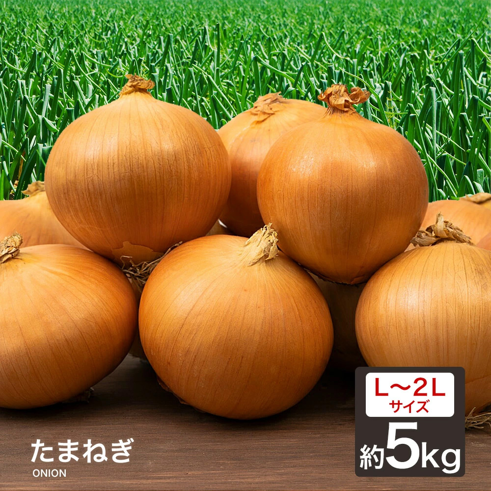 玉ねぎ 20kg（食品）の商品一覧 通販 - Yahoo!ショッピング