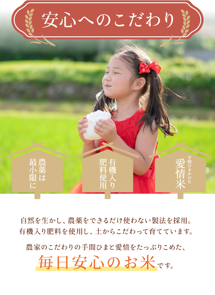 予約販売】2026年11月中旬頃入荷予定 米 令和8年産 精米 5kg お米 1袋