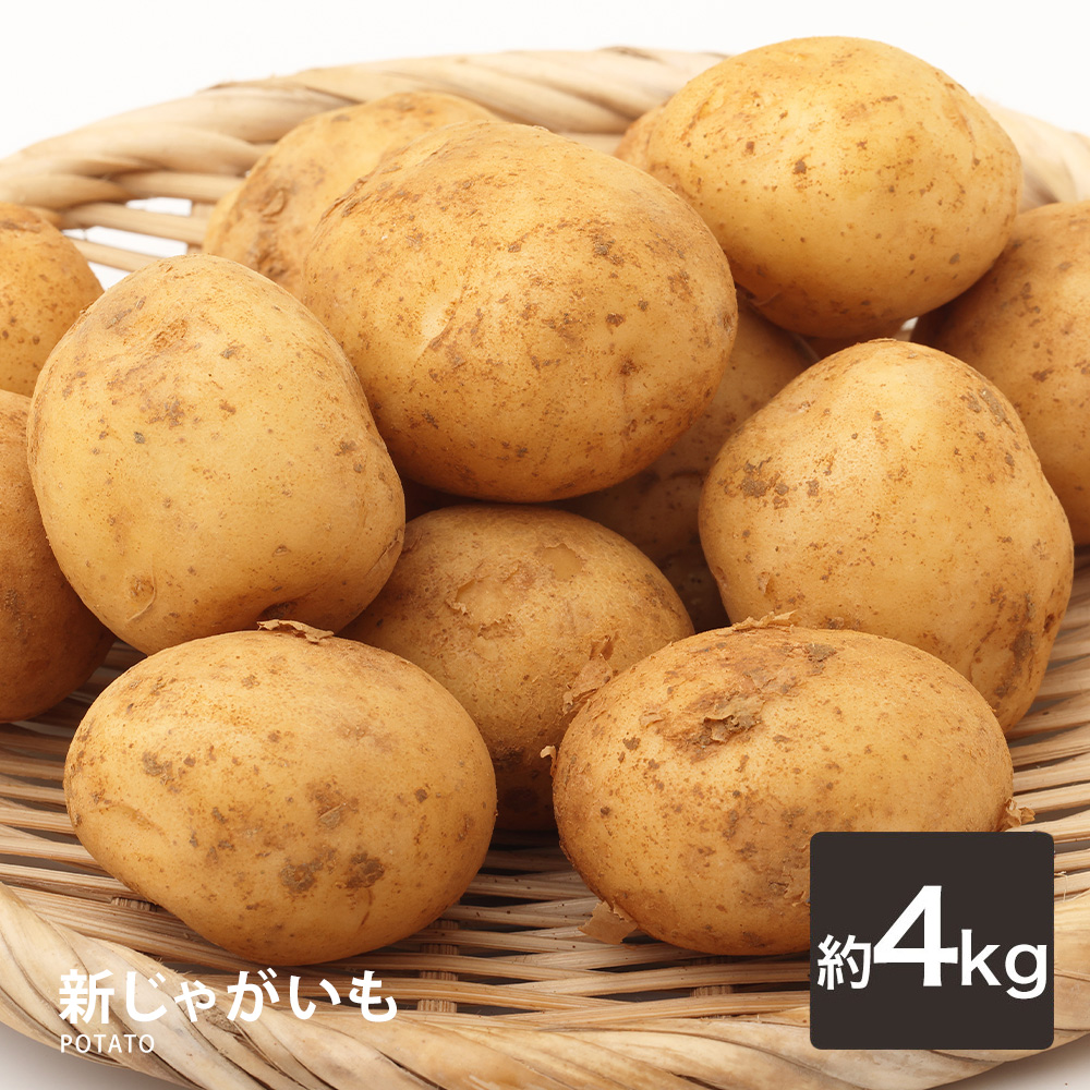 営業日当日発送】 新じゃがいも じゃがいも ジャガイモ 送料無料 1kg