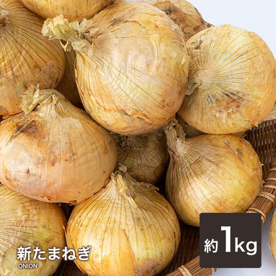たまねぎ 国産 Ｌ〜２Ｌ 玉葱 １ｋｇ 〜 １０ｋｇ ご家庭用 大量 野菜 玉ねぎ |  | 01