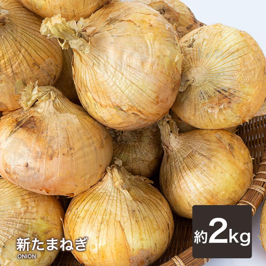たまねぎ 国産 Ｌ〜２Ｌ 玉葱 １ｋｇ 〜 １０ｋｇ ご家庭用 大量 野菜 玉ねぎ |  | 02