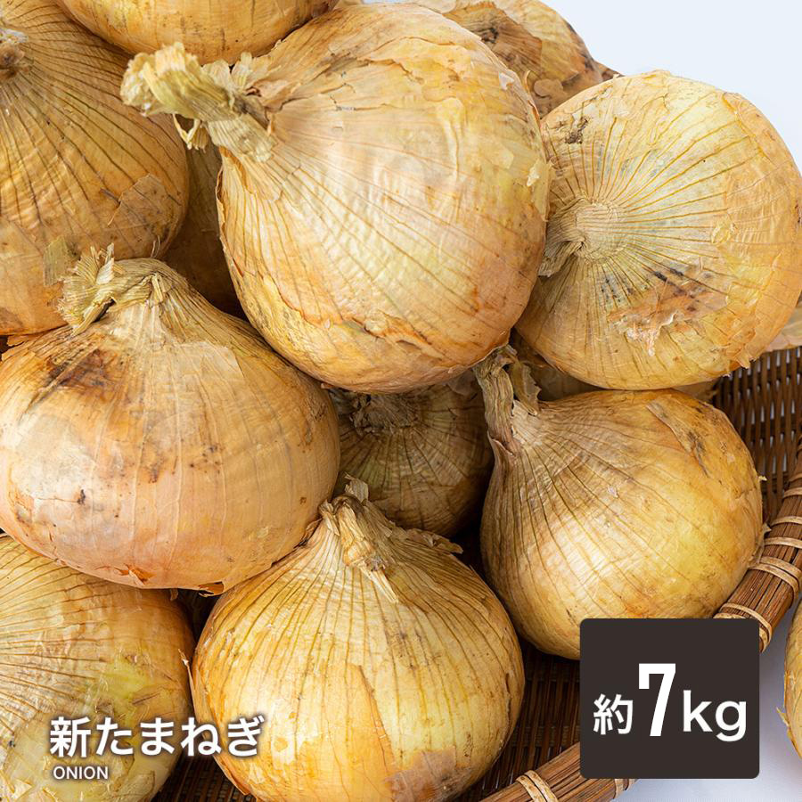 たまねぎ 国産 Ｌ〜２Ｌ 玉葱 １ｋｇ 〜 １０ｋｇ ご家庭用 大量 野菜 玉ねぎ |  | 07