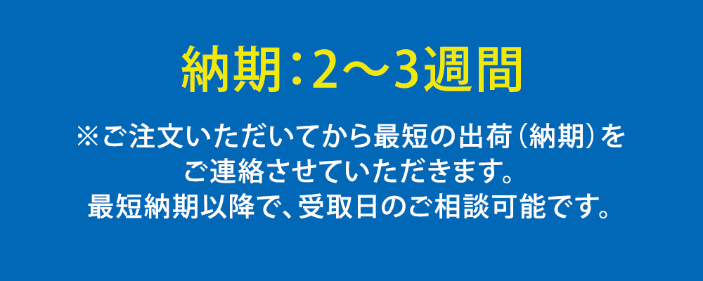 うんてい（取り付け式）幅500mm　同色5本セット うんてい（取り付け式）同色5本セット 運動 子供 キッズ 室内