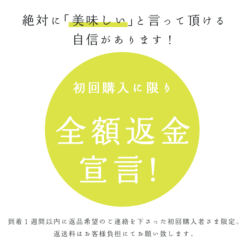 お茶 日本茶 3本セット 送料無料 期間限定 80g×3袋セット 掛川 深蒸し