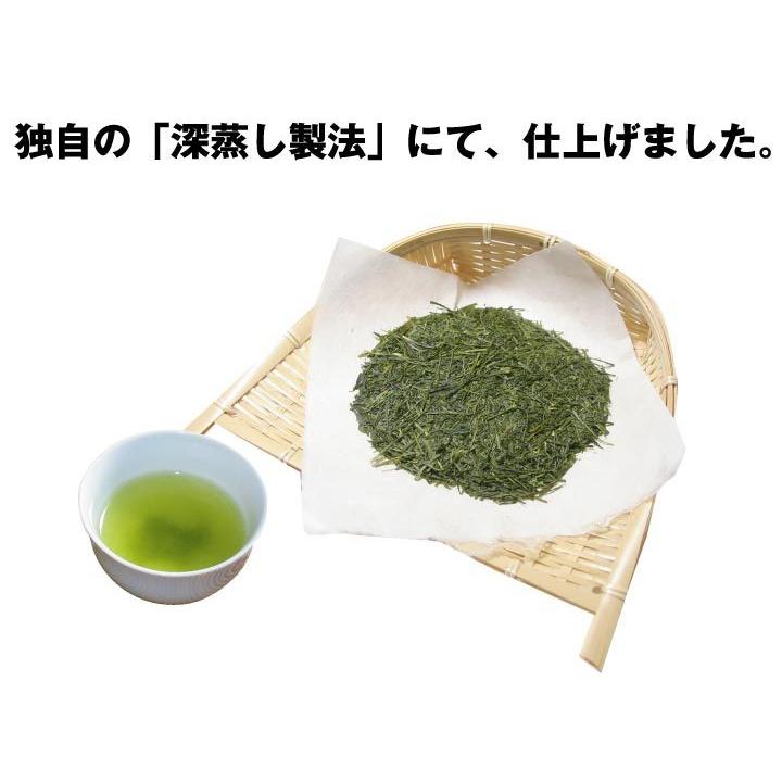 たっぷり深蒸し茶 200g入り 送料無料 掛川茶 深蒸し茶 緑茶 卸価格商品 M-1 掛川茶 緑茶、日本茶 