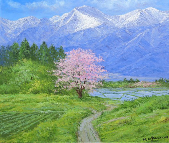 絵画 油絵 常念岳と桜 （小川久雄） 【肉筆】【油絵】【桜絵】【海・山