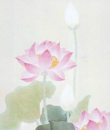 掛け軸 聖蓮華 (佐藤良一) 【掛軸】【一間床・半間床】【法事・仏事