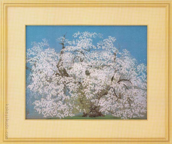 中島千波 絵画 千歳櫻 【複製】【美術印刷】【巨匠】【変型特寸】の