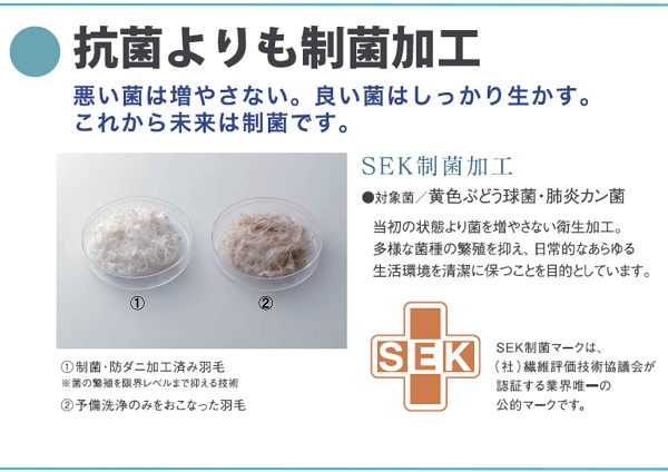 フランスベッド（FRANCEBED） 羽毛掛けふとん クイーンサイズ 2枚