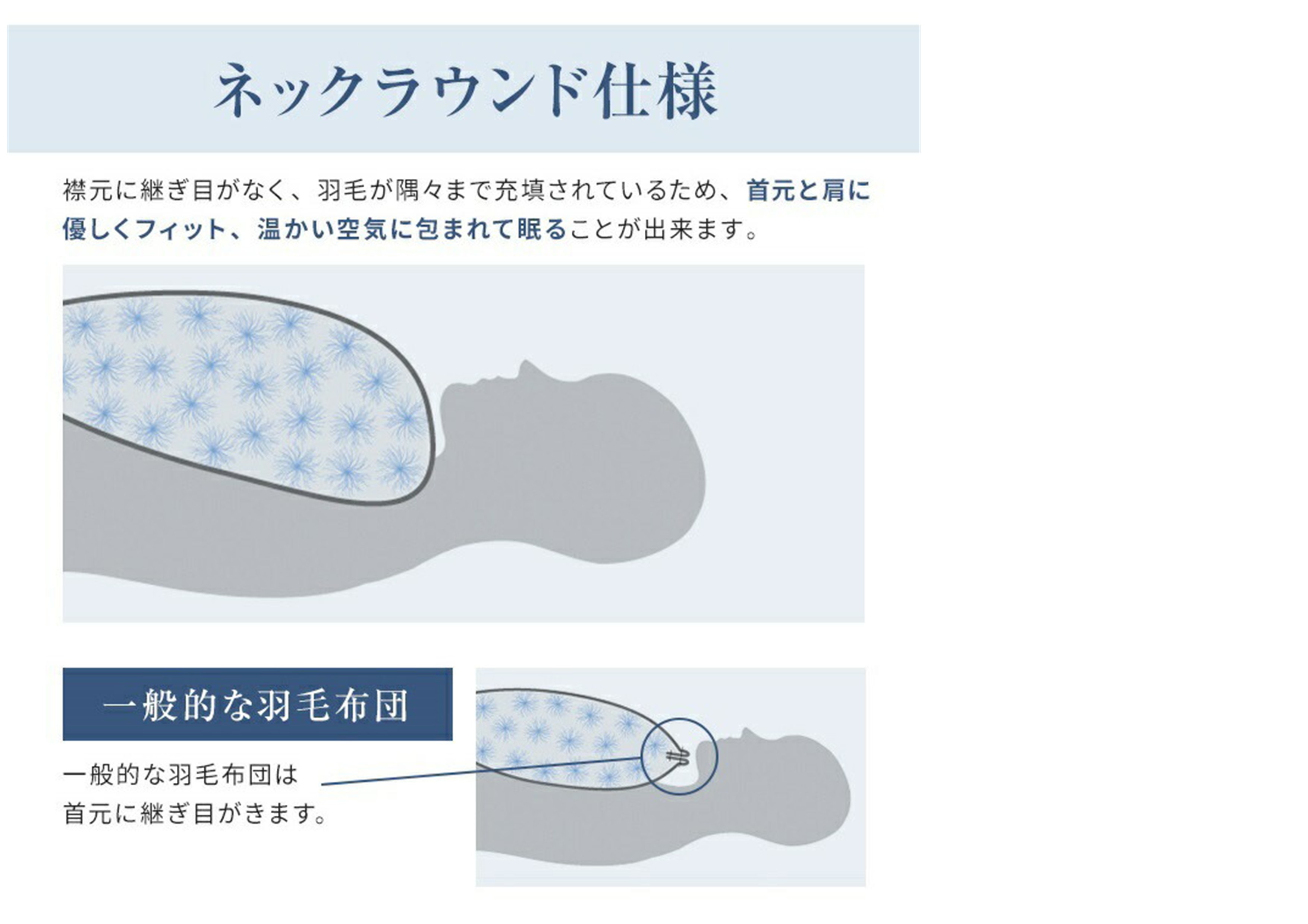 フランスベッド（FRANCEBED） 羽毛掛けふとん クイーンサイズ