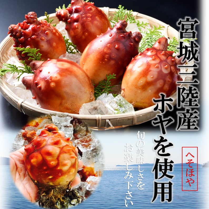 ほやページ へそほや 110g/pc たれ付き 宮城県産 ホヤ 海鞘 ほや 冷凍 ホヤ酢