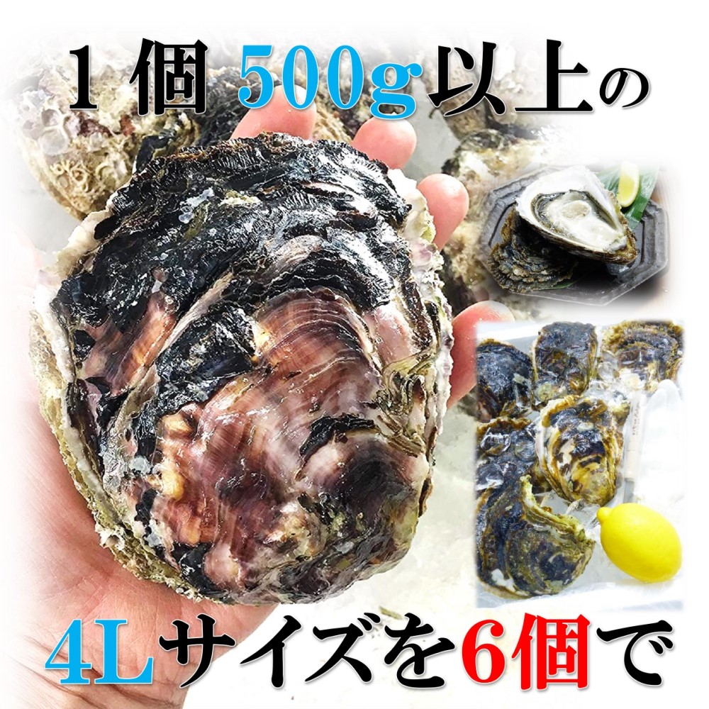 kakiya 三陸産 岩牡蠣 特大4Lサイズ 6個セット 生食用 夏の岩牡蠣