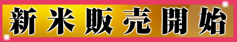 販売会開始