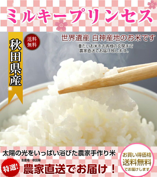 ミルキープリンセス 米 令和7年産 10kg 送料無料 秋田県産 玄米 10kg