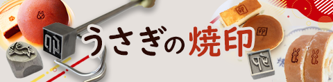 Alternate Text