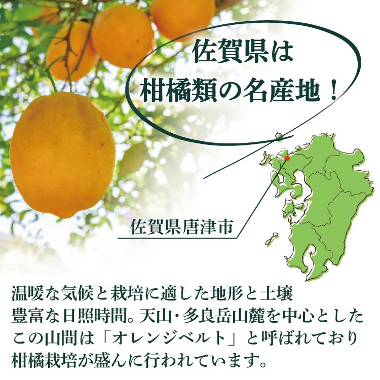 佐賀県産レモン使用