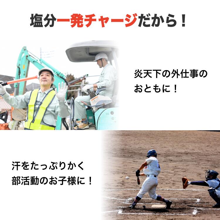 塩分一発チャージ