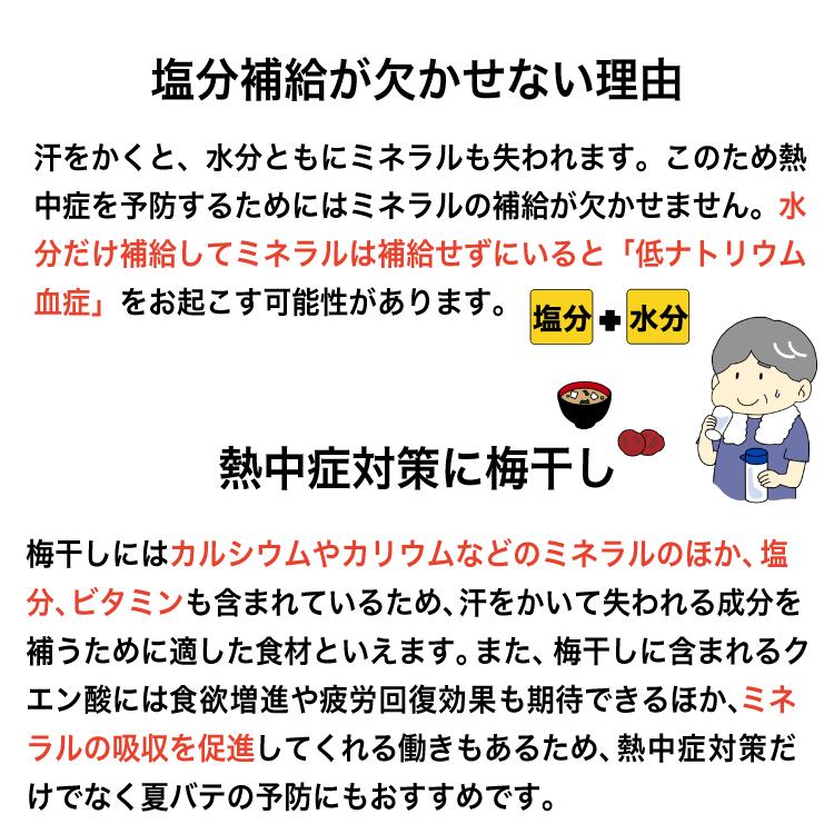塩分補給が欠かせない理由