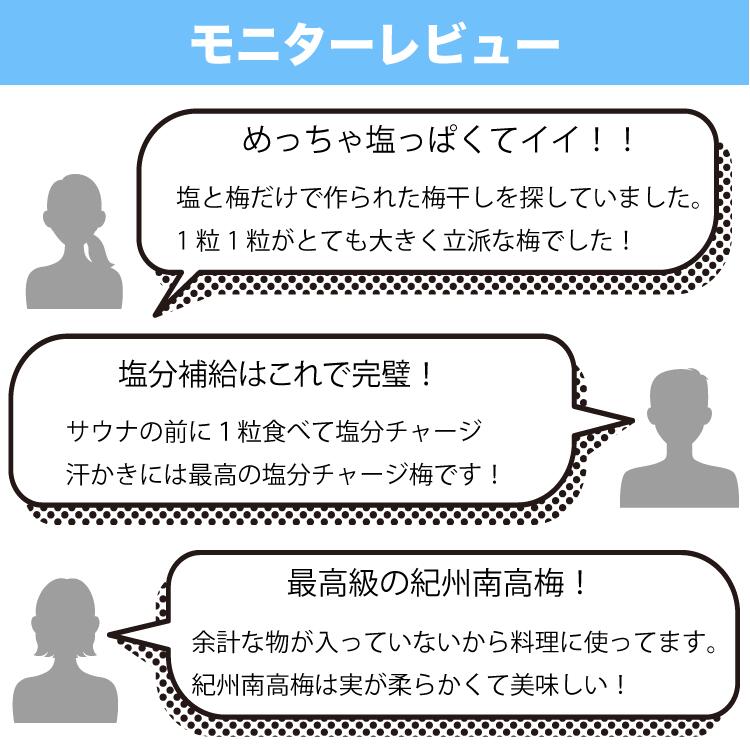 モニターレビュー
