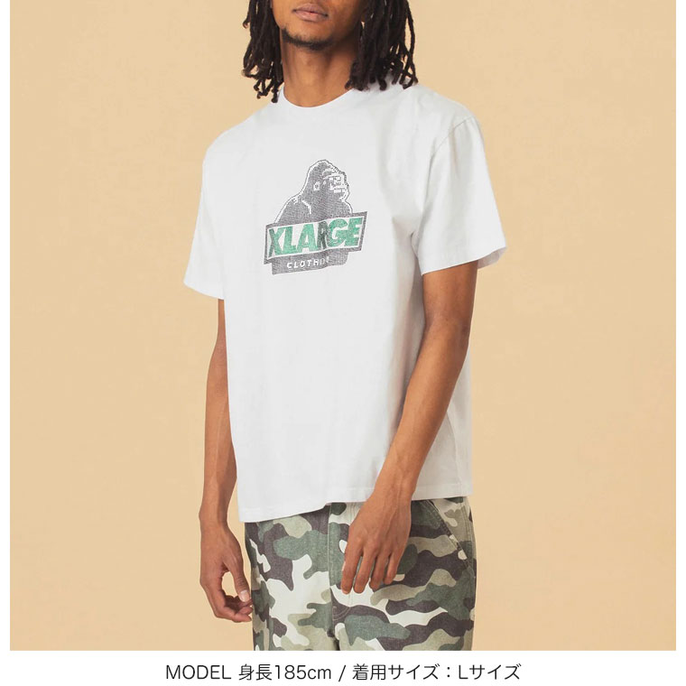 さえら アンリコ シャツ ピスタチオグリーン ゆったり コサージュ レース リネン - ビスコース サボテン柄シャツ - ホワイト | ZARA Japan / 日本