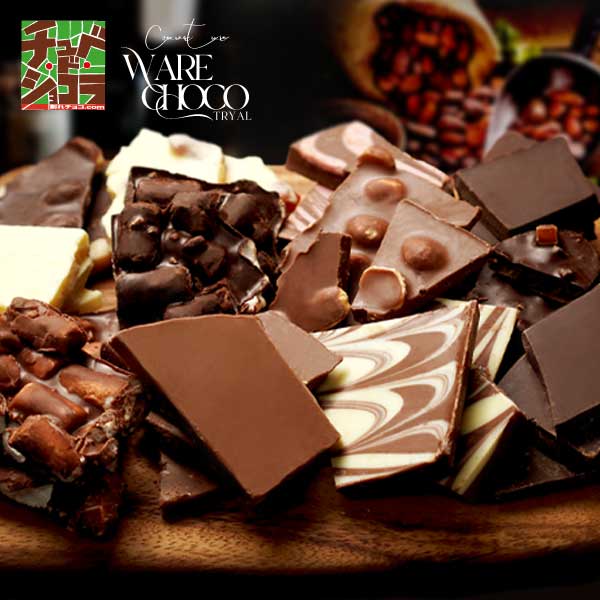 お試し 割れチョコ  チョコレート 送料無料 チュベ・ド・ショコラ チョコ お菓子 ポイント消化 クリスマス