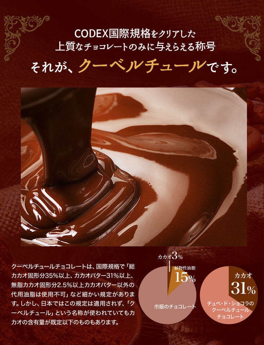 チョコレート ザッハトルテ 情熱と誘惑のザッハトルテ チョコレートケーキ 　チョコ グルメ